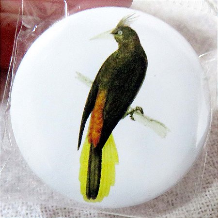 Japu - botton metálico P coleção naturalistas