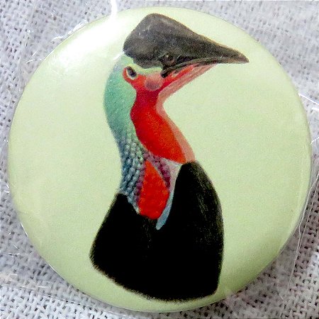 Casuar-do-norte - botton metálico P coleção naturalistas