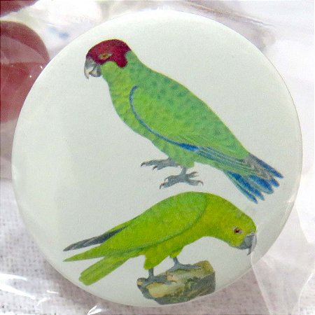 Cuiú-cuiú - botton metálico P coleção naturalistas