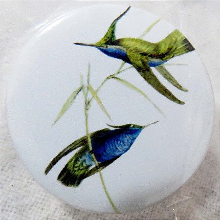 Beija-flor-de-topete-azul - botton metálico P coleção naturalistas