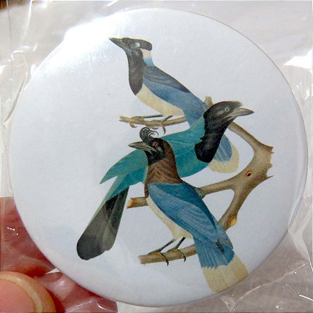 Gralhas - botton metálico G coleção naturalistas