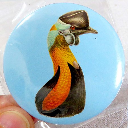 Casuar aurantiacus 2 - ímã metálico coleção arte naturalista