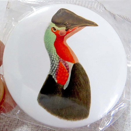 Casuar do norte 2 - ímã metálico coleção arte naturalista