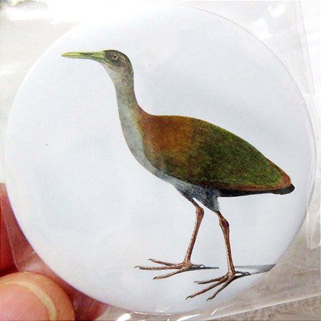Saracura-do-mato - ímã metálico coleção arte naturalista
