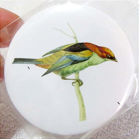 Saíra-sapucaia - ímã metálico coleção arte naturalista