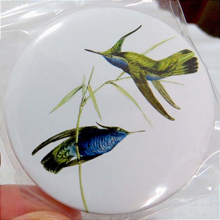 Beija-flor-de-topete-azul - ímã metálico coleção arte naturalista