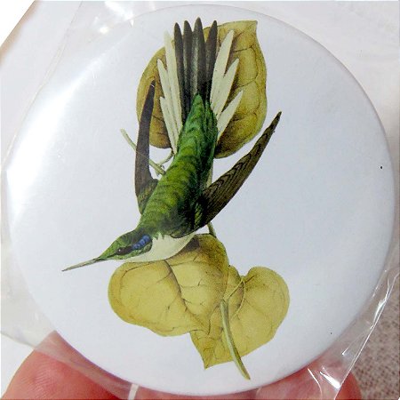 Beija-flor-de-bochecha-azul - ímã metálico coleção arte naturalista