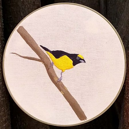Fim-fim - Pintura em tecido e bordado a Mão em Bastidor - Bordando Aves
