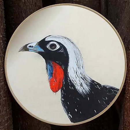 Jacutinga - Pintura em Bastidor - Bordando Aves