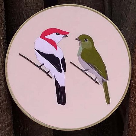 Soldadinho-do-araripe casal - Bordado a Mão em Bastidor - Bordando Aves
