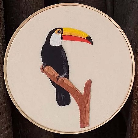 Tucanuçu - Bordado a Mão em Bastidor - Bordando Aves