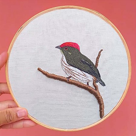 Tangará-rajado - Bordado a Mão em Bastidor - Bordando Aves