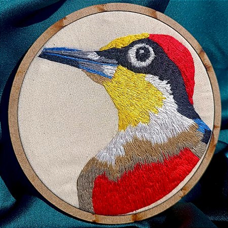 Benedito-de-testa-amarela - Bordado a Mão em Bastidor - Entre Amigas