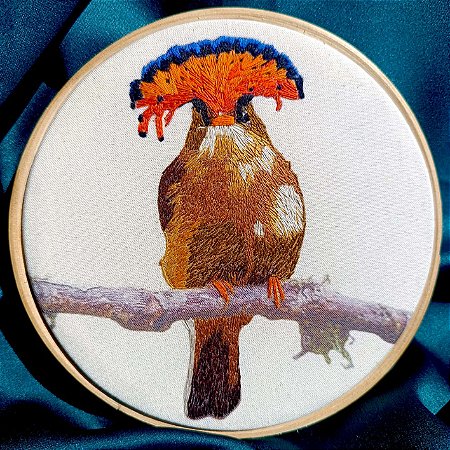 Maria-leque-do-sudeste 2 - Bordado a Mão em Bastidor - Entre Amigas