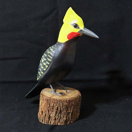 Pica-pau-de-cabeça-amarela - Miniatura madeira Valdeir José