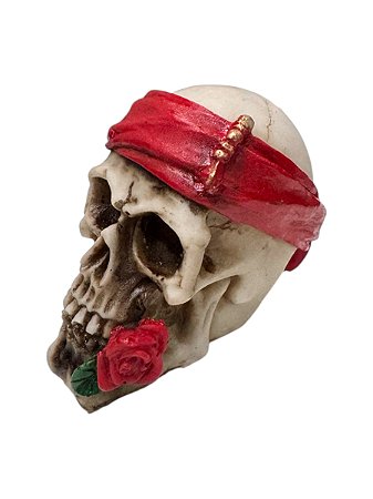 CRANIO PQ ROSA CAVEIRA