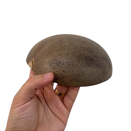 COITE DE ÁRVORE DE CUIA LISO PQ