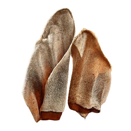 Mordedor Natural Orelha Bovina 2 unidades Bicho do Mato para Cães