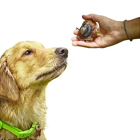 Trufinhas de Boi Olho Bovino Desidratada Mordedor Natural para Cães - 80g Unidades Bicho do Mato 100% Natural