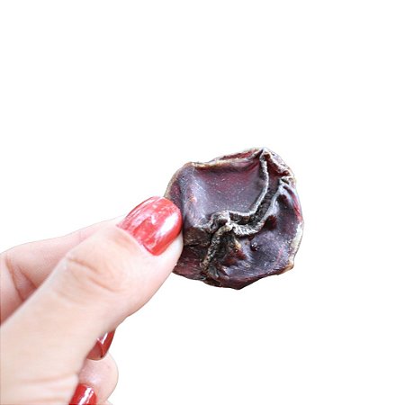 Moela de Pato Desidratada Petisco 100% Natural Para Cães Lecker 100g