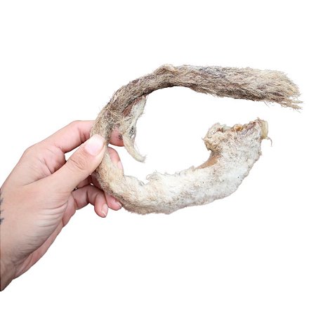 Rabo de Ovino Carneiro Desidratado Mordedor 100% Natural Para Cães Lecker 2 Unidades