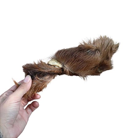 Pele de Carneiro Ovino Enrolada Desidratada Mordedor 100% Natural Para Cães 1 Unidade