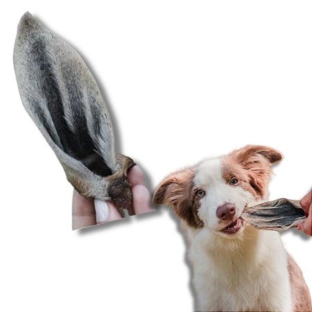 Orelha de Carneiro Desidratada Mordedor 100% Natural Para Cães 5 Unidades Natuka