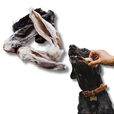 Orelha de Coelho Desidratada Mordedor 100% Natural Para Cães 5 Unidades Natuka