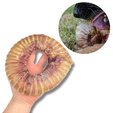 Traqueia Redonda Mordedor 100% Natural Para Caes 1 Unidade Luv