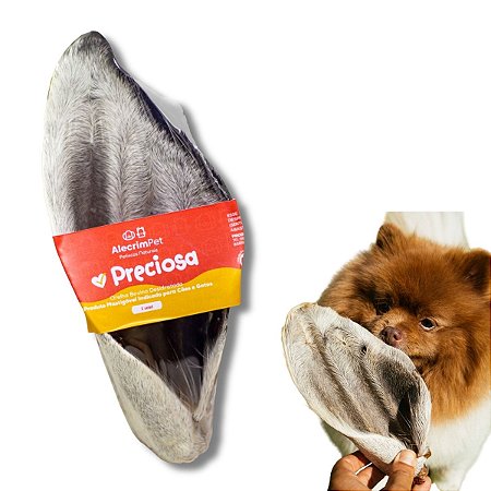 Orelha Bovina Desidratada Preciosa Mordedor 100% Natural Para Cães 1 Unidade AlecrimPet