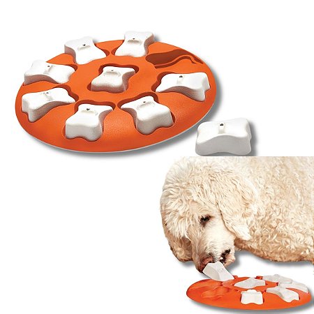 Brinquedo Interativo Para Cães Tabuleiro Dog Smart Nina Ottosson Nivel 1 Outward Hound