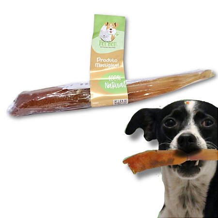 Aorta Bovina Recheada Mordedor 100% Natural Para Cães Chocalho Pet Bem 1 Uni