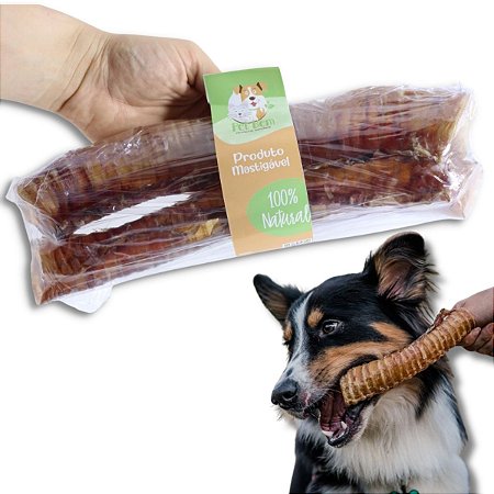 Traqueia Bovina Mordedor 100% Natural Para Cães Tubão Pet Bem 2 Uni