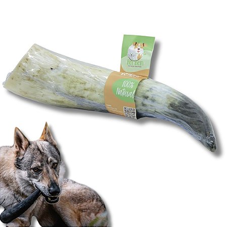 Chifre de Boi Inteiro Mordedor 100% Natural Para Cães Pet Bem 1 Uni