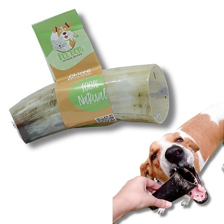 Chifre de Boi Cortado Mordedor 100% Natural Para Cães Pet Bem 1 Uni