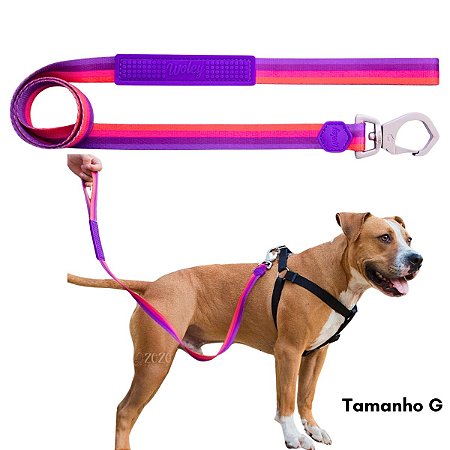 Guia Para Cães Tamanho G Purple Woley Mosquetão Resistente
