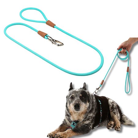 Toh Guia de Corda Para Cães 1,20m Turquesa Mosquetão Resistente