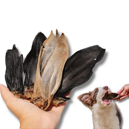 Orelha de Carneiro Desidratada Mordedor 100% Natural Para Cães 4 Uni Bicho do Mato