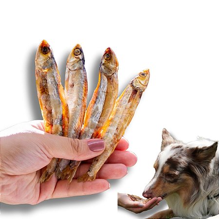 Manjubinha Desidratada Petisco 100% Natural Para Cães Gatos 50g Bicho do Mato