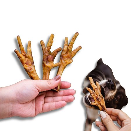 Pé de Galinha Mordedor 100% Natural Para Cães 5 Uni Bicho do Mato