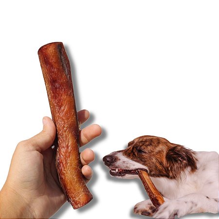 Vergalho Bovino Bastão Mordedor 100% Natural Para Cães 2 Uni Bicho do Mato