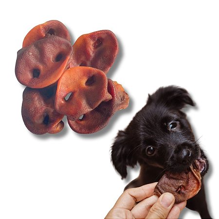 Focinho Suíno Mordedor 100% Natural Para Cães 150g Bicho do Mato