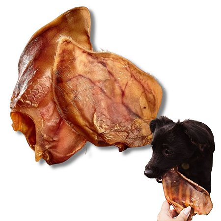 Orelha Suína Mordedor 100% Natural Para Cães 2 Uni Bicho do Mato