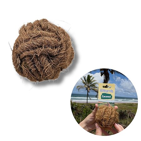 Brinquedo Sustentável Fibra de Coco Para Cães Coconut Bola Amicus