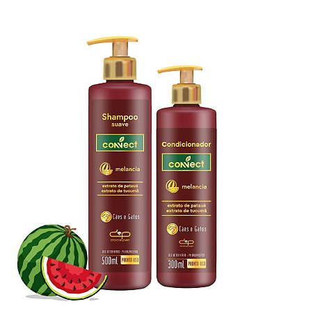 Kit Shampoo Suave e Condicionador Connect Dolce Pet Cães Gatos Melancia
