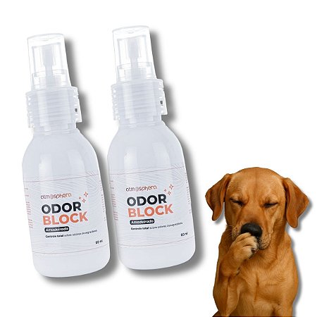 Kit 2 Odor Block Bloqueador de Maus Odores Para Ambientes Amadeirado 60ml