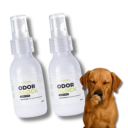 Kit 2 Odor Block Bloqueador de Maus Odores Para Ambientes Capim Limão 60ml