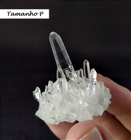 Drusa Laser Lemuriana