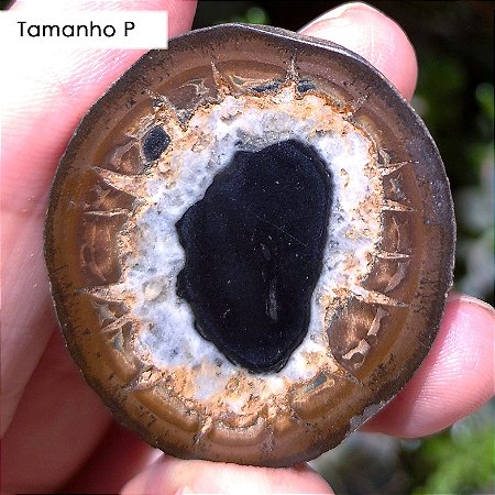 Septariana - tamanhos P / M e / Par