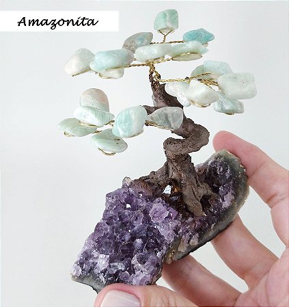 Árvore de Cristal na Base de Drusa - 6 opções